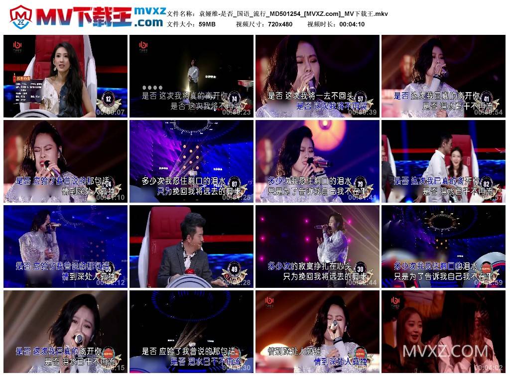 袁娅维-是否_国语_流行_MD501254